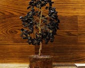 Black Onyx Reiki Healing Stones Tree, Feng Shui Spiritual Energy Crystal, Table Decor Natural Gemstone, With Gift Pouch HCD1851C