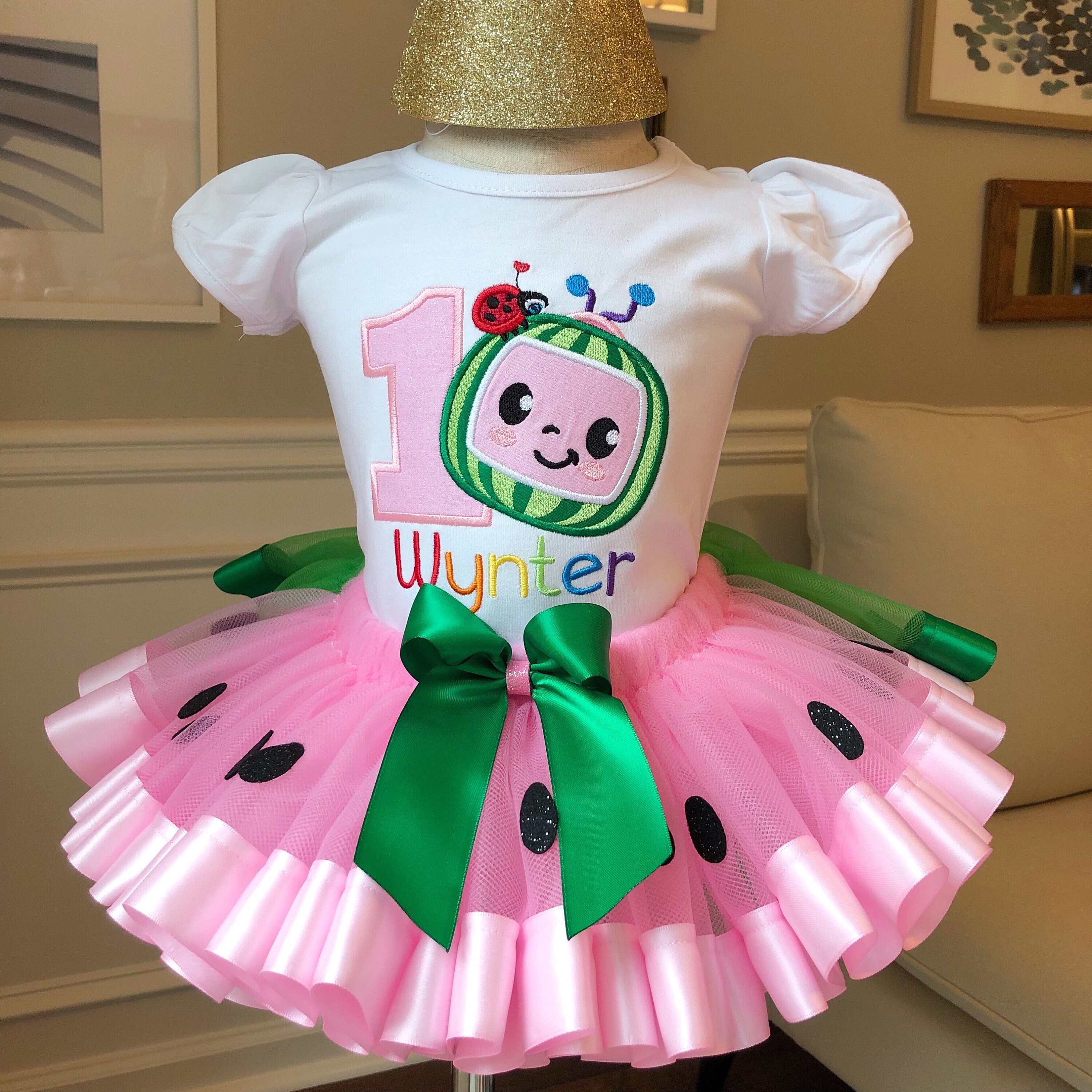 Baby Watermelon Outfit, Cocomelon Tutu Set, Cocomelon First Birthday,…