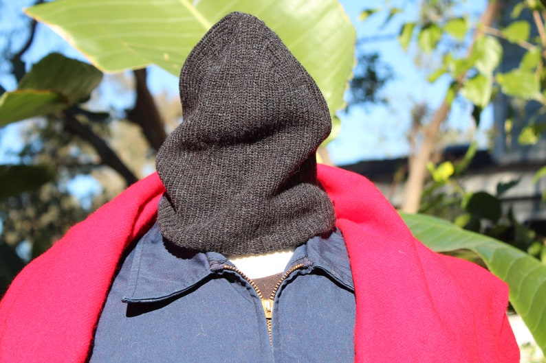 May include: A dark gray knit hood is worn over a blue jacket with a gold zipper. A bright red scarf is draped around the neck. The background features green leaves and sunlight.