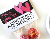 Valentine's Day "I think you are AMAZEBALLS" Gift Tags | Printable PDF Download