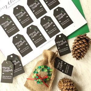 Merry Christmas Holly Gift Tag | Shine Bright Gift Tag | Printable PDF Download