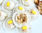 Piña Colada Cake Ball Recipe: Pineapple Coconut (Digital Recipe)