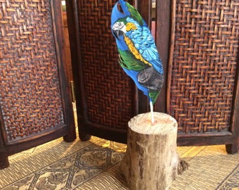 Colorful bird