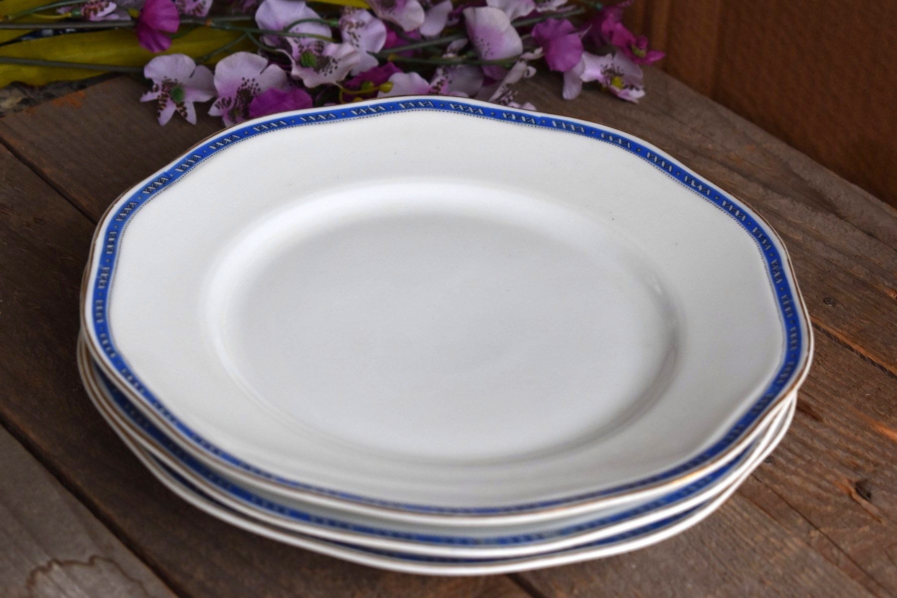 ヴィンテージ ピルケンハンマー チェコスロバキア ボヘミアン 磁器 10