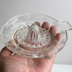 May include: A clear glass citrus juicer with a textured surface and a pointed center for squeezing fruit. The juicer has a handle on the side.