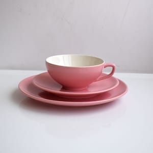 Puede incluir: Un juego de taza y platillo de té de color rosa. La taza tiene un interior blanco y un exterior rosa. El platillo es de un tono rosa ligeramente más oscuro.