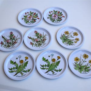 Puede incluir: Un conjunto de ocho posavasos de metal blanco con ilustraciones florales. Cada posavasos presenta un diseño botánico diferente, incluyendo rosas, tréboles y dientes de león, con nombres botánicos impresos debajo. Los posavasos tienen un borde blanco y un fondo claro.