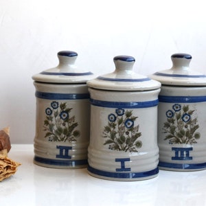 May include: Three ceramic canisters with blue and white floral designs and roman numeral labels. The canisters are in a row on a white surface.