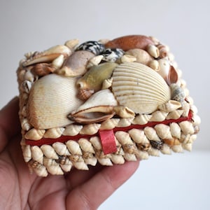 Puede incluir: Una caja decorativa cubierta de diversas conchas marinas, que muestra una mezcla de colores y texturas. La caja tiene una cinta roja y se sostiene en una mano. Las conchas están dispuestas para crear una superficie texturizada única, perfecta para la decoración costera.