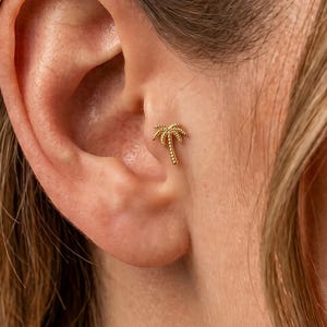 Puede incluir: Un pequeño pendiente de botón dorado con forma de palmera, que presenta un tronco texturizado y frondas delicadas. El pendiente está colocado en la zona de la concha de la oreja, mostrando un acabado metálico y un diseño botánico en miniatura.