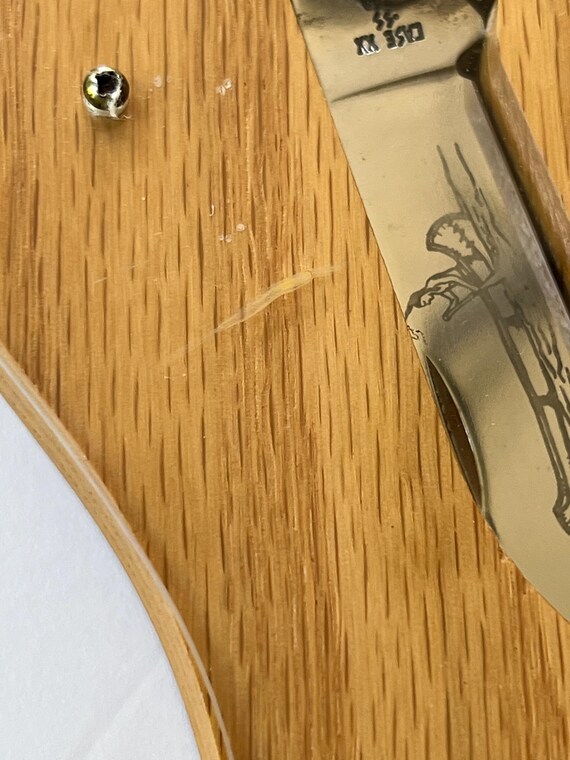 Case XX 1989-1990 Transition Canoe Knife Set Display (limited