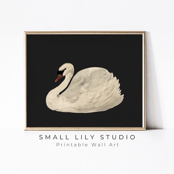 PRINTABLE Swan Black White Print, Moody vintage painting swan wall art, Minimalist watercolor print dark, Instant digital download | P075