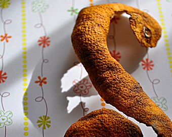 Food Fine Arts Orange Peel Snake Shadow Primary Colors Kitchen Funny Whimsical Fun Clever Quirky Unique Vibrant Warm Reptile Citrus Bright