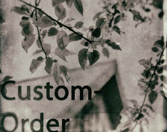 Custom-Order Photograph--one 5 x 7 print
