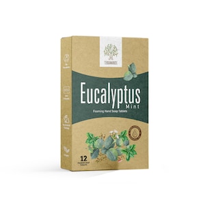 May include: A brown cardboard box with a green and white illustration of eucalyptus leaves. The box contains 12 foaming hand soap tablets. The text on the box reads "Eucalyptus Mint Foaming Hand Soap Tablets" and "TERRAHANDMADE".