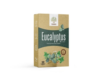 May include: A brown cardboard box with a green and white illustration of eucalyptus leaves. The box contains 12 foaming hand soap tablets. The text on the box reads "Eucalyptus Mint Foaming Hand Soap Tablets" and "TERRAHANDMADE".