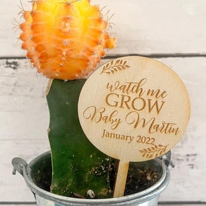 Watch Me Grow Succulent Tags | Baby Shower Favors | Succulent Tags |Watch Me Grow Favor Tags |Watch Me Grow Sticks| *Succulent Not Included*