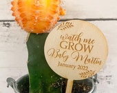 Watch Me Grow Succulent Tags Baby Shower Favors Succulent Tags Watch Me Grow Favor Tags Watch Me Grow Sticks Succulent Not Included