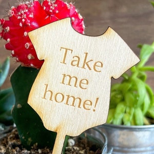 テイク ミー ホーム多肉植物タグ | ベビーシャワーの記念品 | 多肉植物タグ | テイク ミー ホームタグ | ワンジーの記念品 | *多肉植物は含まれません*