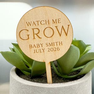 May include: A wooden plant stake with the words "WATCH ME GROW" and the name "BABY SMITH JULY 2026" is placed in a small succulent plant. The plant is in a gray concrete pot, and the background is blurred.