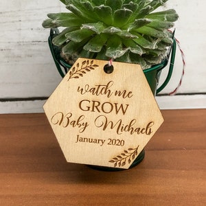 Watch Me Grow Succulent Tags | Baby Shower Favors | Succulent Tags | Succulent Tags | Watch Me Grow Tags | *Succulent Not Included*