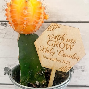Watch Me Grow Succulent Tags | Baby Shower Favors | Succulent Tags | Watch Me Grow Favor Tags | Succulent Sticks | *Succulent Not Included*