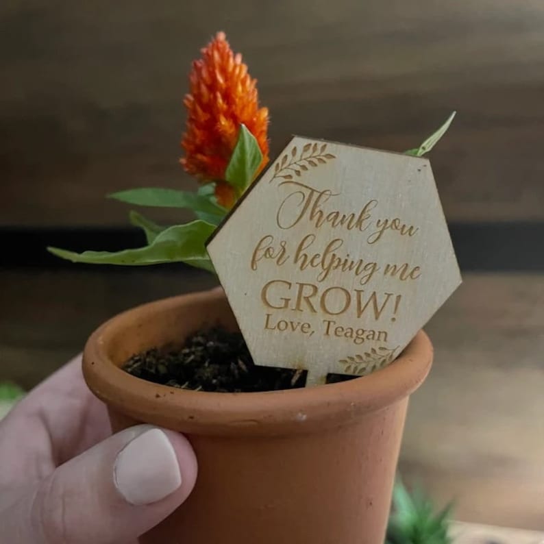 Small Thank You For Helping Me Grow Succulent Tags Thank You Etsy