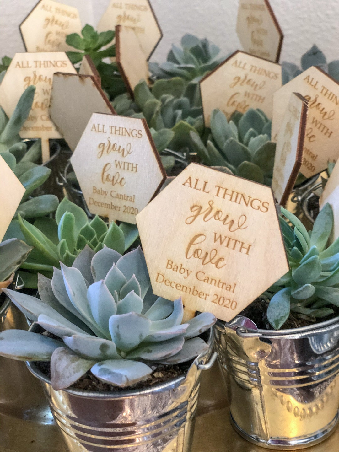 All Things Grow With Love Succulent Tags | Baby Shower Favors