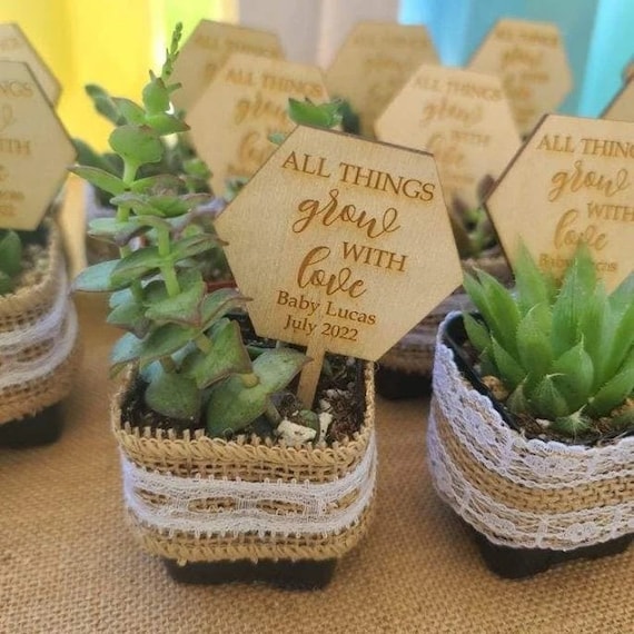 All Things Grow With Love Succulent Tags | Baby Shower Favors