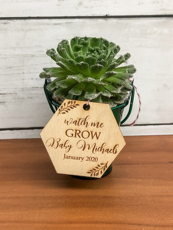 Watch Me Grow Succulent Tags Baby Shower Favors Succulent Tags