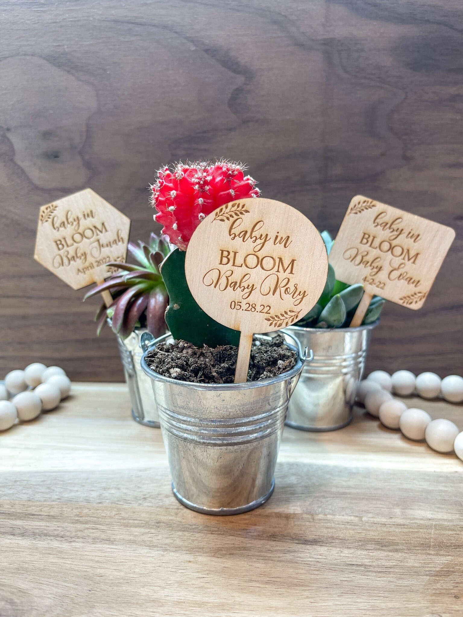 Baby in Bloom Succulent Tags Baby Shower Favors Succulent Tags