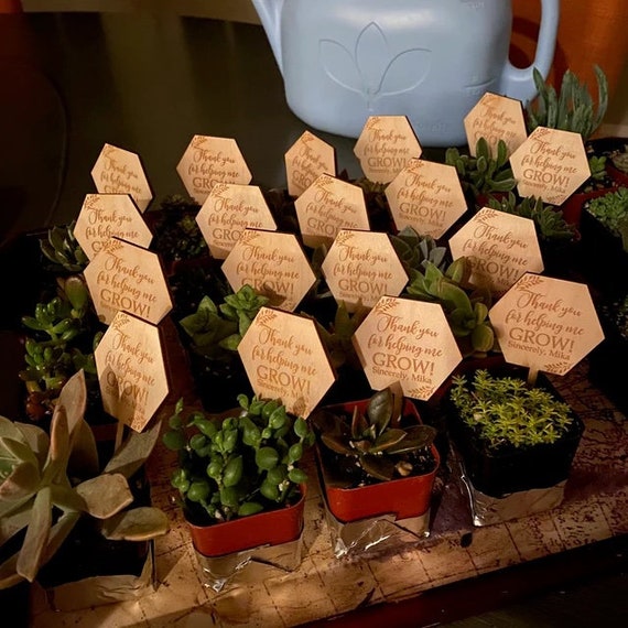 SMALL Thank You for Helping Me Grow Succulent Tags| Thank You for Helping  Me Grow | Succulent Tags | Teacher Gift | *succulent Not Included* - Etsy