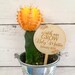 Watch Me Grow Succulent Tags | Baby Shower Favors | Succulent Tags |Watch Me Grow Favor Tags |Watch Me Grow Sticks| *Succulent Not Included* 
