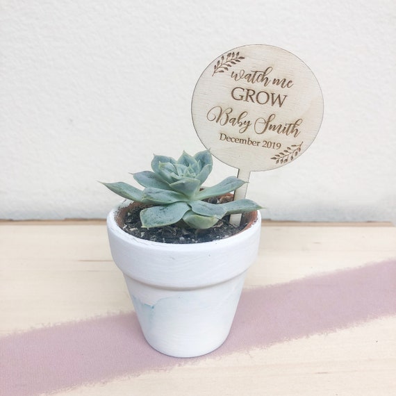 baby shower succulent tags