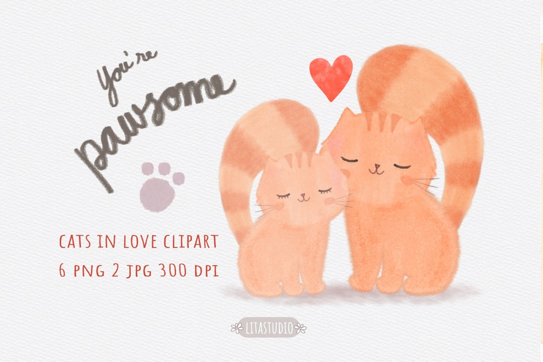 Carte De Saint-Valentin Amusante Pour Mari, Tête You're My Knob