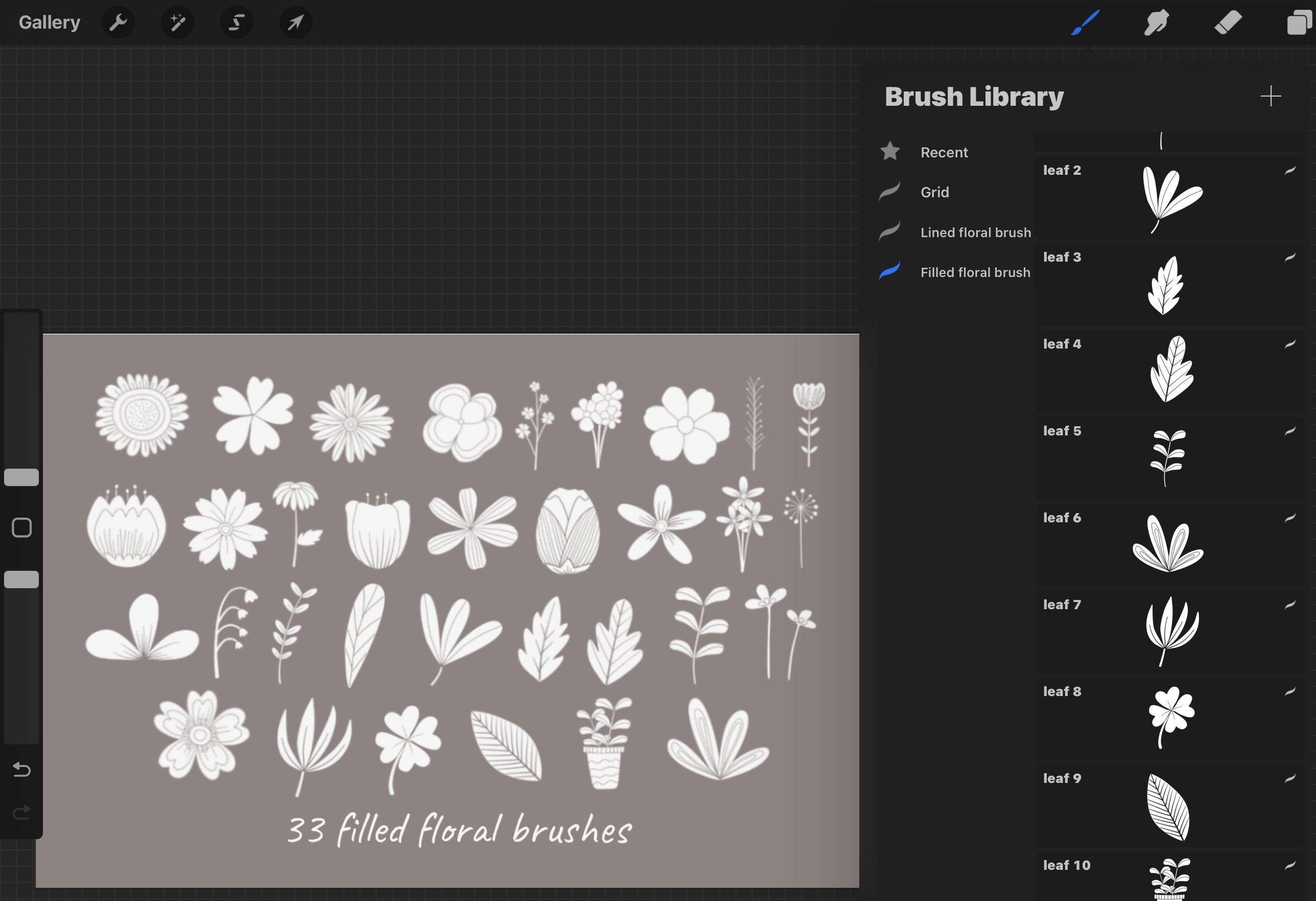 66 Hand Drawn Botanical Stamp Procreate, Flower Stamps, Floral Stamp ...