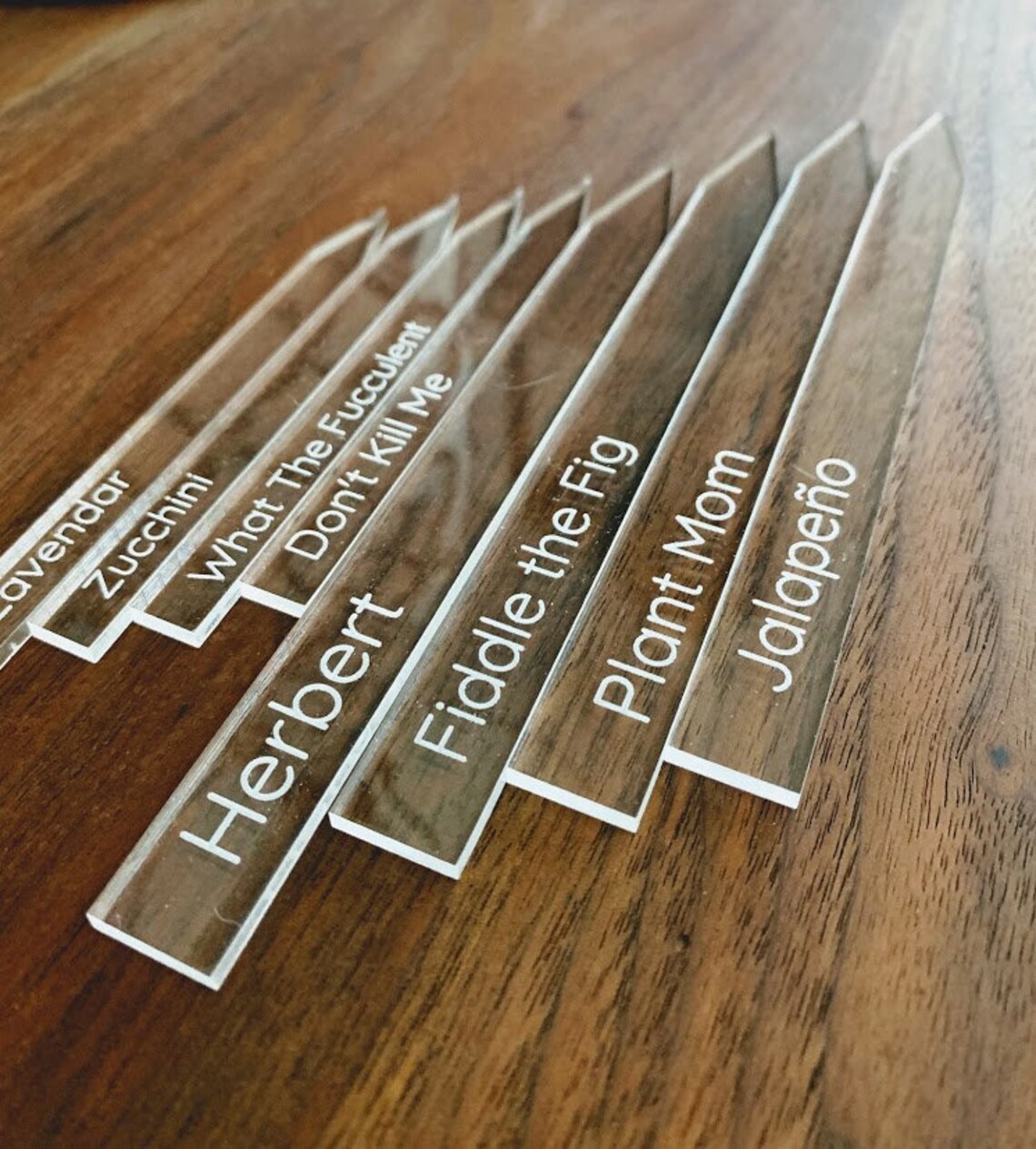Acrylic Plant Labels House Warming Gifts Plant Tags Plant Etsy