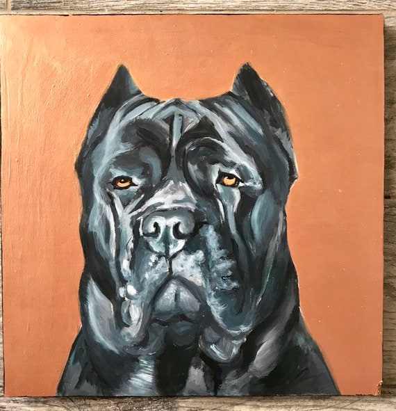 cane corso painting