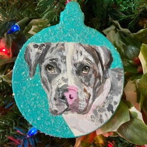 May include: A hand-painted Christmas ornament featuring a dog's face on a teal background. The dog has brown, white, and gray fur and a pink nose.