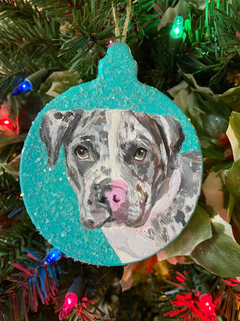 May include: A hand-painted Christmas ornament featuring a dog's face on a teal background. The dog has brown, white, and gray fur and a pink nose.