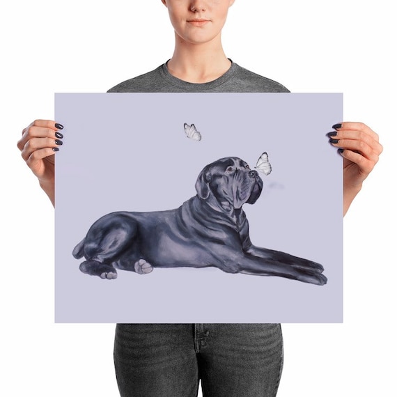 Giant cane cheap corso
