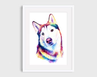 May include: A framed art print featuring a colorful illustration of a Husky dog. The dog's fur is rendered in a vibrant spectrum of colors, with a white face, a pink nose, and one blue and one brown eye. The artwork is set against a white background.