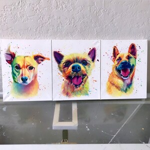May include: Three colorful paintings of dogs on canvas. Each painting features a different dog breed with a vibrant rainbow color scheme and white splatters of paint.