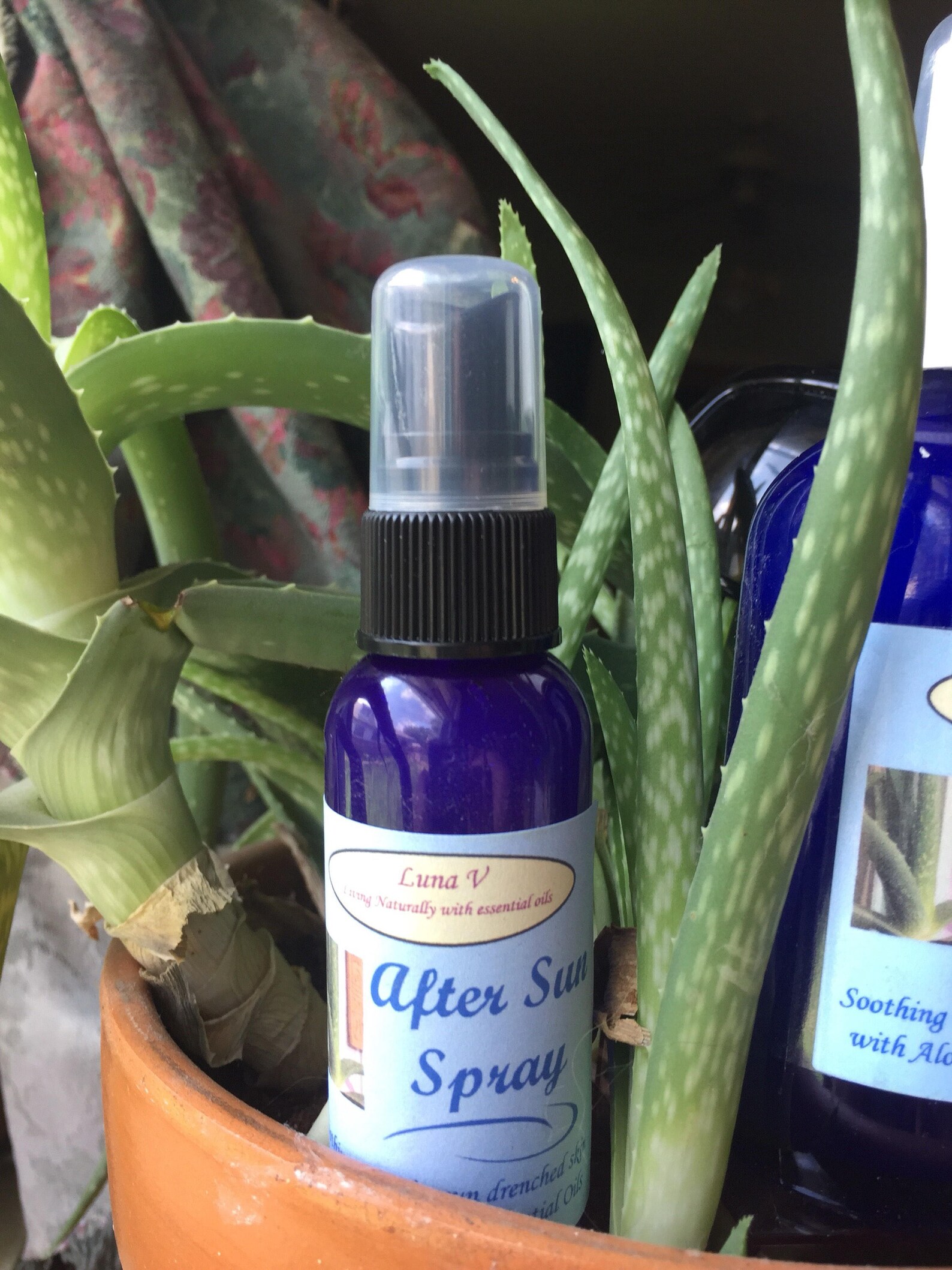 Organic After Sun Spray With Essential Oils Etsy
