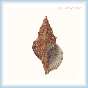 Patrón de punto de cruz PDF Seashell Descarga instantánea / Patrón de bordado de arte Shell / Descarga digital Gráficos de punto de cruz