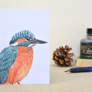 Lot de 5 mini-carnets oiseaux britanniques, martin-pêcheur, rouge-gorge, pic, troglodyte mignon et mésange bleue, jeu de cartes vierges illustration aquarelle