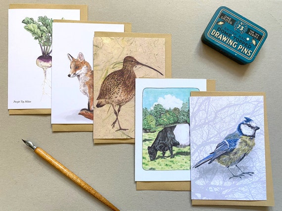 Pack of 5 Thank You Cards Little Note Blue Tit