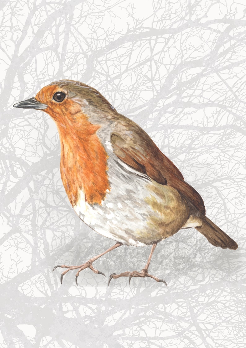 A6 Robin Bird Greeting Card Blank Card Watercolour Etsy