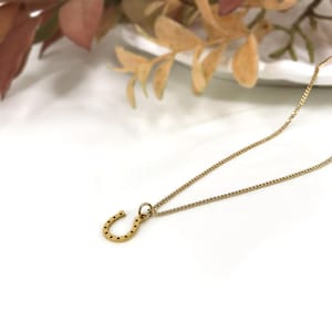 Gold Filled Horseshoe Necklace