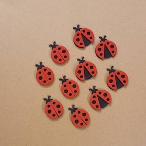 Kit 10pcs of die-cut ladybugs in eva rubber